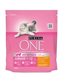 PURINA ONE Gato Junior rico en Pollo y Cereales Integrales 450g