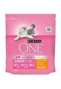 PURINA ONE Gato Junior rico en Pollo y Cereales Integrales 450g