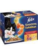 PURINA FELIX Sensations Carnes en sabrosas gelatinas 100g