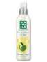 MENFORSAN Agua De Colonia Manzana-Apple 125 ml